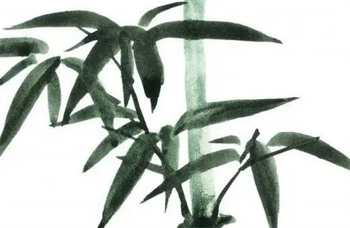 2029年农历八月二十动土黄道吉日 是动土修造好日子吗