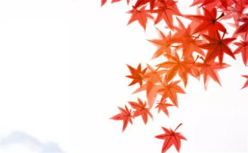 2027年03月16日是不是动土吉日 宜动土吉日查询 2027年03月16日是不是动土吉日 宜动土吉日查询