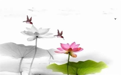 2033年10月08日动土好吗 建筑房屋吉利吗 2033年10月08日动土好吗 建筑房屋吉利吗