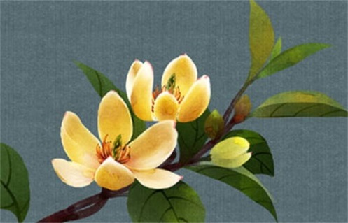 2031年03月01日是动土好日子吗 宜动土修造吉日查询