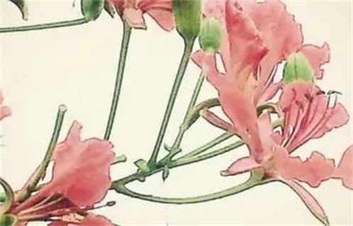 2025年02月26日是动土好日子吗 是动土好日子吗 2025年02月26日是动土好日子吗 是动土好日子吗