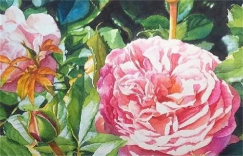 2033年农历九月十六动土好不好 动土吉利吗 2033年农历九月十六动土好不好 动土吉利吗