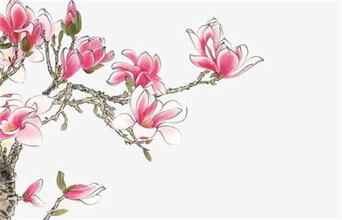 2025年农历二月廿一动土日子如何 宜建筑房屋吉日查询