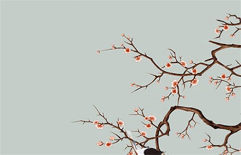 2029年11月13日动土好不好 今日动土好不好