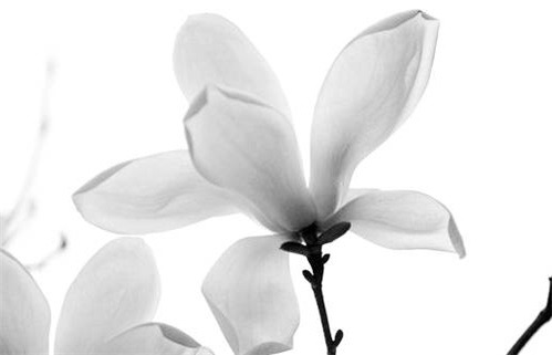 2026年06月02日动土好不好 宜建筑房屋吉日查询 2026年06月02日动土好不好 宜建筑房屋吉日查询