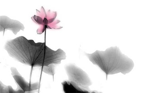 2033年农历十月初六动土日子如何 宜动土吉日查询 2033年农历十月初六动土日子如何 宜动土吉日查询