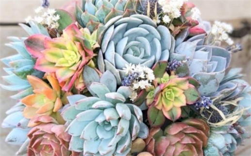 2024年09月25日是结婚好日子吗 今日办婚礼好不好