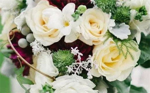 2033年农历九月初五结婚日子如何 是办婚礼好日子吗 2033年农历九月初五结婚日子如何 是办婚礼好日子吗