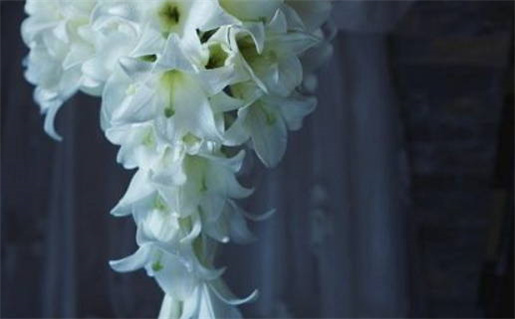 2024年农历八月十九结婚日子如何 今日办婚礼好不好 2024年农历八月十九结婚日子如何 今日办婚礼好不好