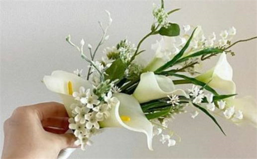 2024年农历八月廿六是不是结婚吉日 今日办婚礼好不好 2024年农历八月廿六是不是结婚吉日 今日办婚礼好不好