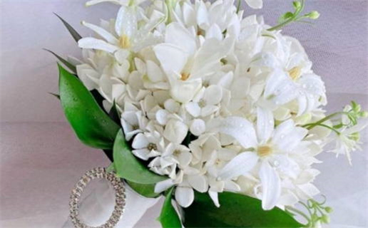 2033年农历九月初十结婚好不好 今日办喜事好不好 2033年农历九月初十结婚好不好 今日办喜事好不好