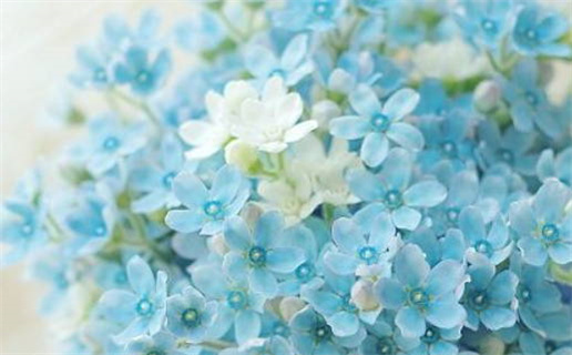 2033年09月11日结婚好吗 宜办喜事吉日查询 2033年09月11日结婚好吗 宜办喜事吉日查询