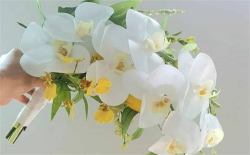 2033年农历九月十一结婚吉日查询 是办婚礼好日子吗 2033年农历九月十一结婚吉日查询 是办婚礼好日子吗