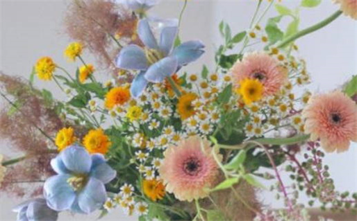 2033年农历八月廿七是不是结婚吉日 是办喜事好日子吗 2033年农历八月廿七是不是结婚吉日 是办喜事好日子吗