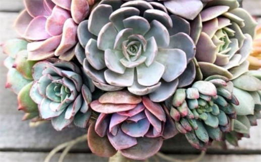 2024年12月01日结婚好吗 今日办喜事好吗 2024年12月01日结婚好吗 今日办喜事好吗