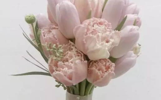 2033年09月01日是结婚好日子吗 宜办喜事吉日查询 2033年09月01日是结婚好日子吗 宜办喜事吉日查询