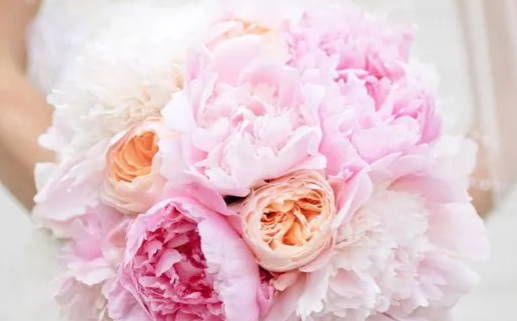 2024年农历九月十二结婚日子如何 宜办婚礼吉日查询 2024年农历九月十二结婚日子如何 宜办婚礼吉日查询