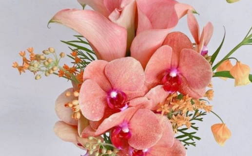 2033年09月19日结婚日子如何 宜办喜事吉日查询 2033年09月19日结婚日子如何 宜办喜事吉日查询