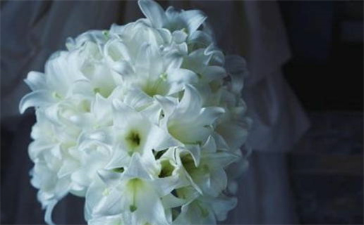 2033年农历九月廿九领证黄道吉日 是领证好日子吗