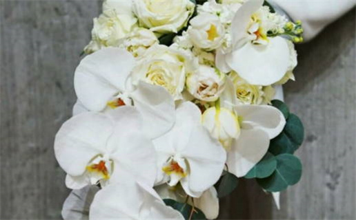 2033年农历九月十五是领证好日子吗 宜领证结婚吉日查询 2033年农历九月十五是领证好日子吗 宜领证结婚吉日查询