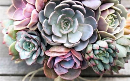 2026年05月11日领证好不好 宜领证吉日查询 2026年05月11日领证好不好 宜领证吉日查询