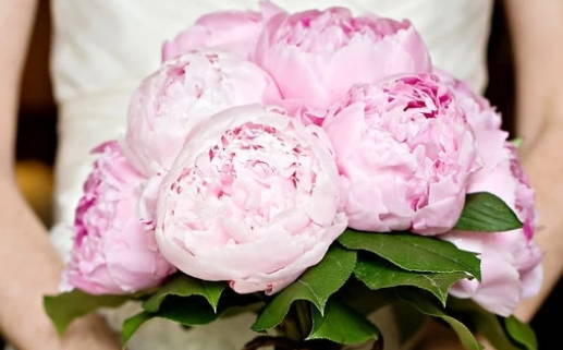 2024年10月11日领证吉日查询 宜登记领证吉日查询 2024年10月11日领证吉日查询 宜登记领证吉日查询