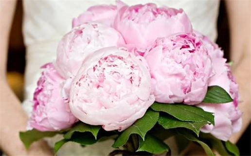 2033年10月14日领证好吗 是领证好日子吗 2033年10月14日领证好吗 是领证好日子吗