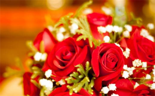 2033年农历九月三十是领证好日子吗 今日领证好不好