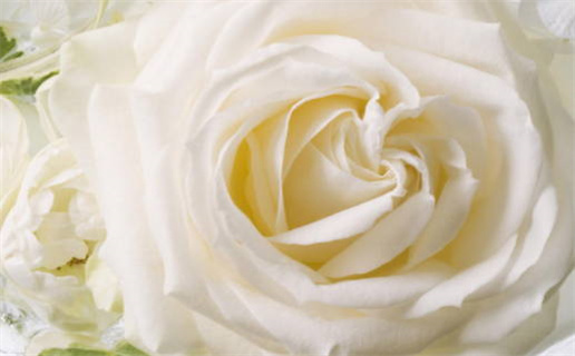 2033年10月04日领证吉日查询 今日登记结婚好吗 2033年10月04日领证吉日查询 今日登记结婚好吗