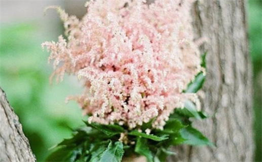 2033年10月20日领证黄道吉日 今日领证结婚好不好