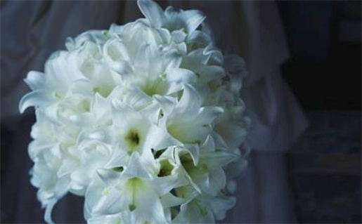 2033年农历九月十六领证吉日查询 宜登记领证吉日查询