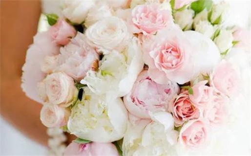 2033年09月19日领证好吗 宜领证吉日查询