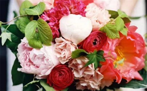 2033年农历九月初四是领证好日子吗 登记领证吉利吗 2033年农历九月初四是领证好日子吗 登记领证吉利吗