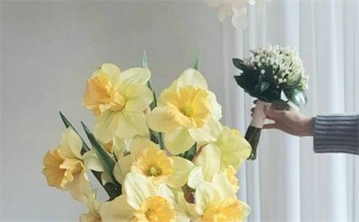 2033年农历九月十六是不是领证吉日 是登记领证好日子吗