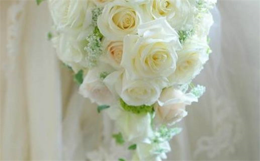 2033年农历九月二十是不是领证吉日 是登记领证好日子吗 2033年农历九月二十是不是领证吉日 是登记领证好日子吗