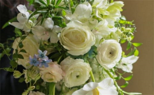 2026年08月25日领证日子如何 今日登记领证好不好 2026年08月25日领证日子如何 今日登记领证好不好