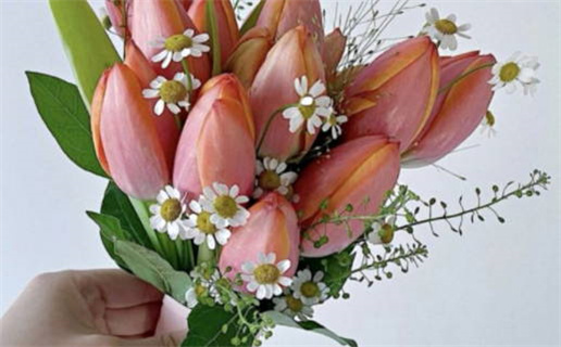 2025年农历四月十四领证吉日查询 宜登记领证吉日查询 2025年农历四月十四领证吉日查询 宜登记领证吉日查询