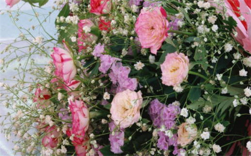 2033年农历九月廿四是领证好日子吗 登记领证吉利吗