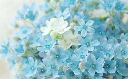 2033年农历八月廿七领证吉日查询 今日登记结婚好不好