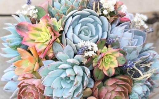 2025年农历十月廿八领证好不好 今日登记结婚好不好 2025年农历十月廿八领证好不好 今日登记结婚好不好