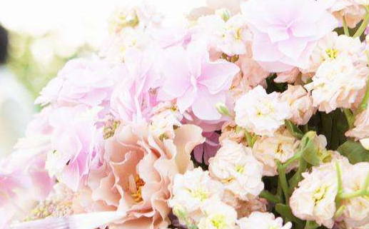 2033年农历九月十一领证日子如何 领证吉利吗 2033年农历九月十一领证日子如何 领证吉利吗