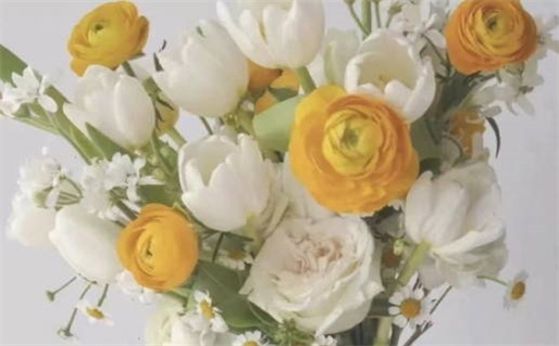 2024年农历十月十五是不是领证吉日 是登记领证好日子吗