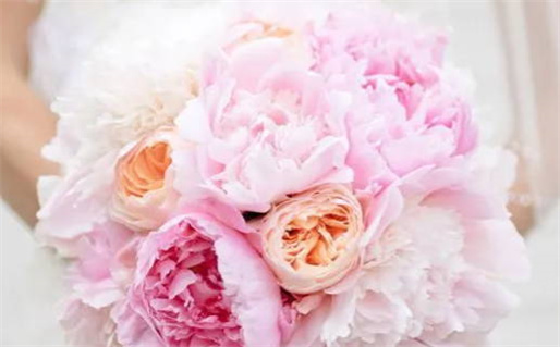 2025年10月05日是不是领证吉日 登记结婚吉利吗 2025年10月05日是不是领证吉日 登记结婚吉利吗