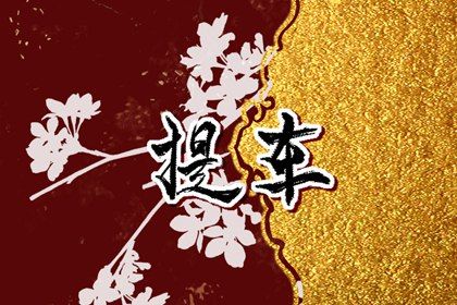 2024年农历八月廿八提车好不好 今日提车好不好 2024年农历八月廿八提车好不好 今日提车好不好