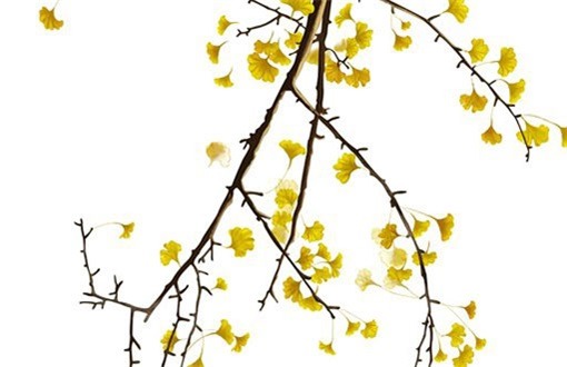 2033年农历九月十五装修好不好 装修吉利吗 2033年农历九月十五装修好不好 装修吉利吗