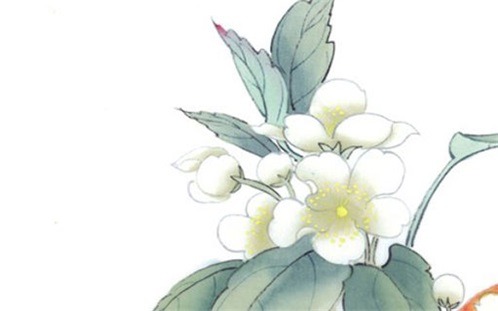 2024年11月15日装修日子如何 今日装修开工好吗