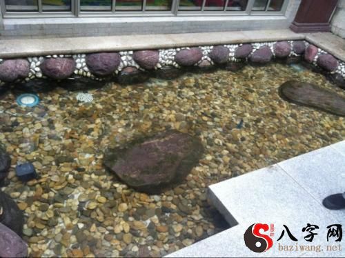 梦见鱼池洗头发