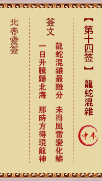 北帝灵签 第14签:龙蛇混杂 中平