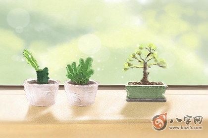 日柱查询 癸酉日柱男命好不好 日柱查询 癸酉日柱男命好不好